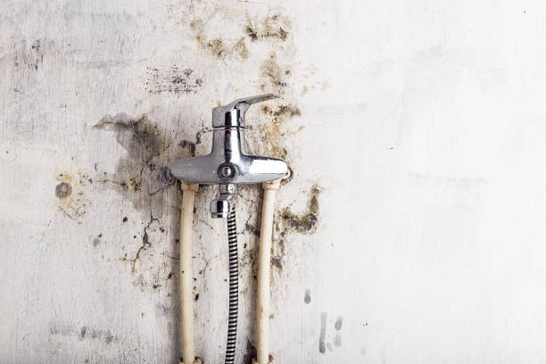 Reliable Glen Lyon, PA Mold Remediation Solutions