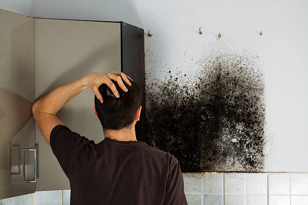 Best Commercial Mold Remediation in Glen Lyon, PA